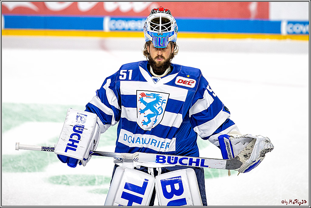 DEL; Koelner Haie - ERC Ingolstadt; Koeln, 03.11.2019